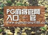 种植基地八(图1)