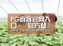 种植基地三
