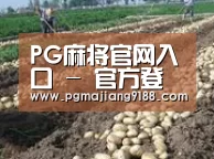 种植基地七(图1)