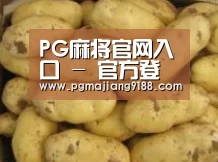 产品展示标题6