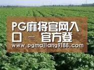 种植基地五(图1)