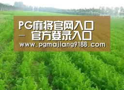 种植基地四
