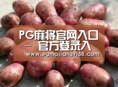 产品展示标题5(图1)