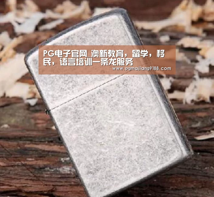 PG电子官网_澳新教育,留学,移民,语言培训一条龙服务(图1) PG麻将官方入口