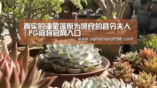 真实的潘金莲原为贤良的县令夫人-PG麻将官网入口(图1) PG官方入口