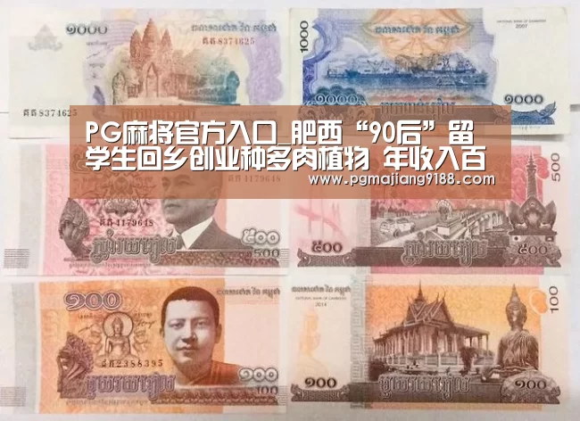 PG麻将官方入口_肥西“90后”留学生回乡创业种多肉植物 年收入百万(图1) PG电子官网